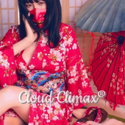 DS Doll EVOLUTION 167cm New In Nell With S Level Make Up