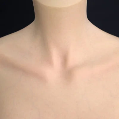 DS Doll Ukiyo-e Series-166SEVO Meishu