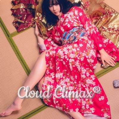 DS Doll EVOLUTION 167cm New In Nell With S Level Make Up