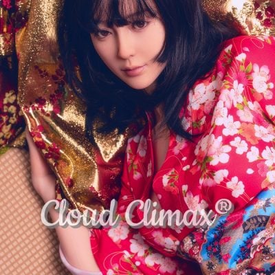 DS Doll EVOLUTION 167cm New In Nell With S Level Make Up