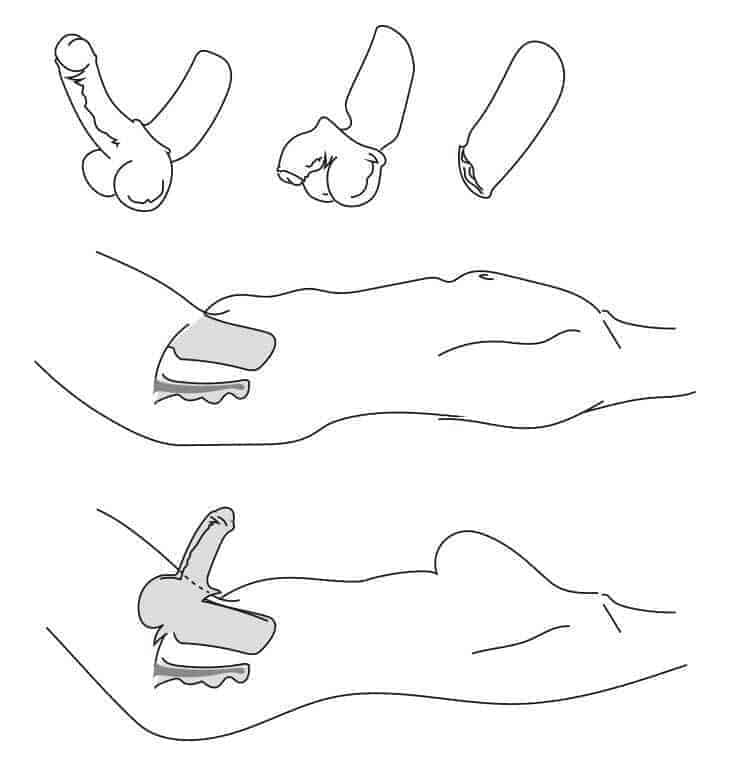 Silicone Sex Doll Penis Attachments